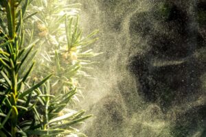 Arizona Allergist and Asthma Doctor - Family Allergy Clinic