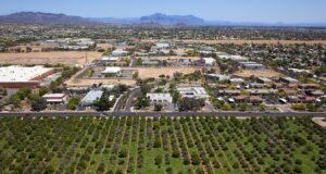 Mesa Arizona Pollen Allergy Doctor - Family Allergy Clinic